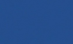 0125-RAL5005