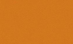 0132-RAL2000