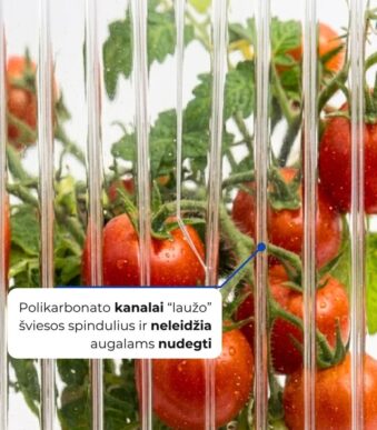 polikarbonatas siltnamiams