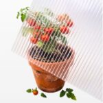 polikarbonatas siltnamiui kanalinis polikarbonatas