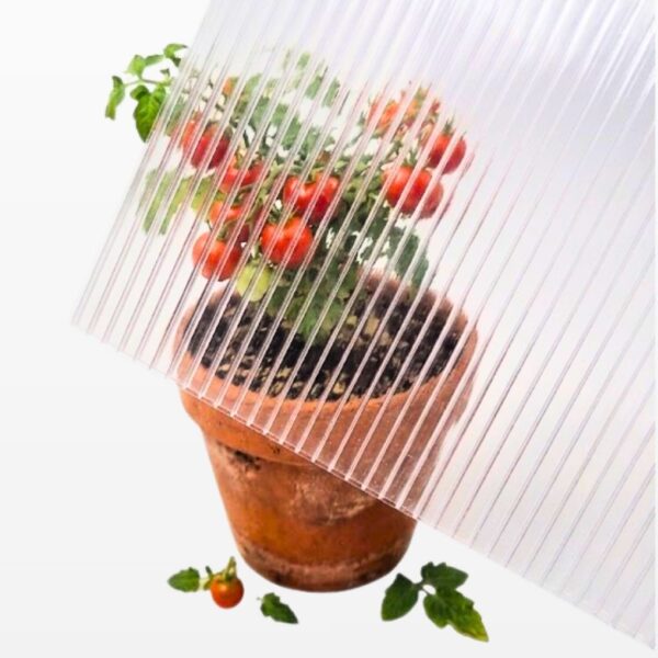 polikarbonatas siltnamiui kanalinis polikarbonatas